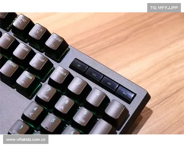 王者降世 键盘称霸天下 王者降世 键盘称霸天下