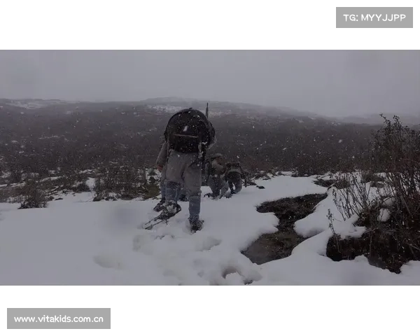 禁地之战图文详解：破译层层迷雾，勇闯危机四伏的险境